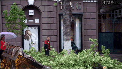 Прикольные гифки