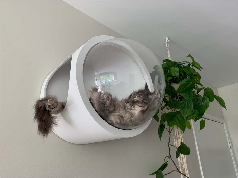 фотоприколы