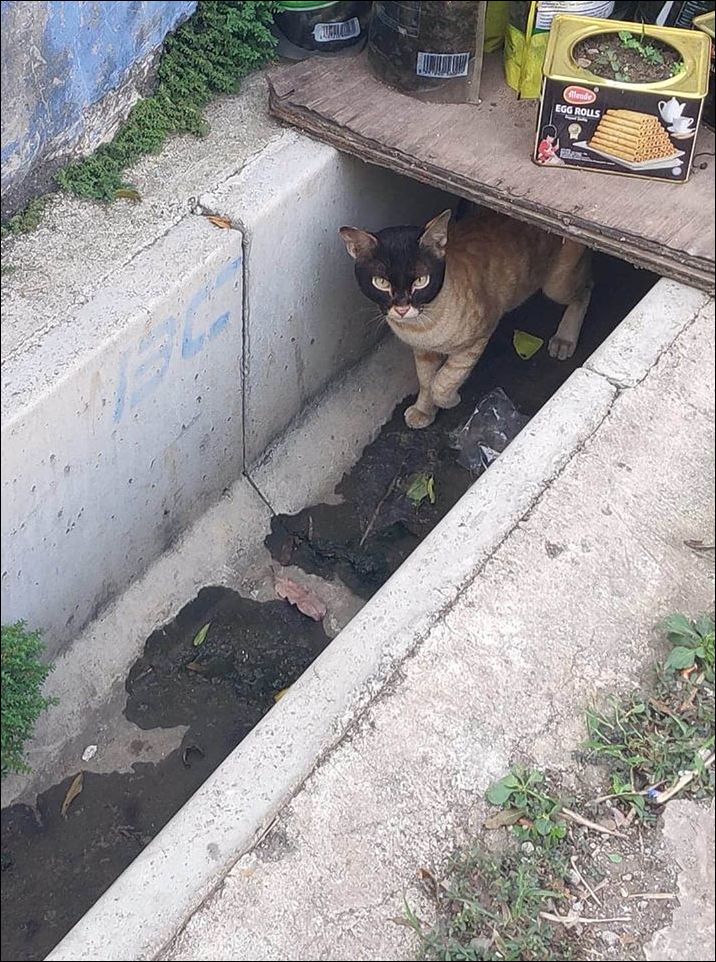 фотоприколы