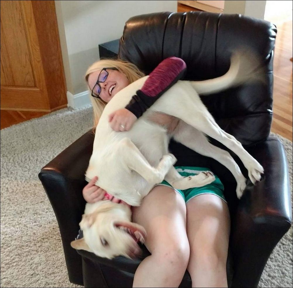 фотоприколы