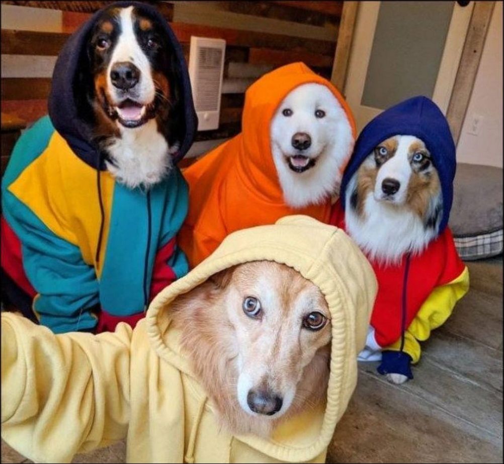 фотоприколы