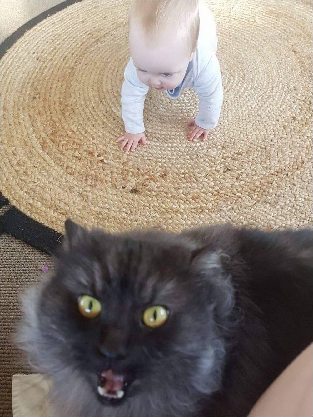 фотоприколы