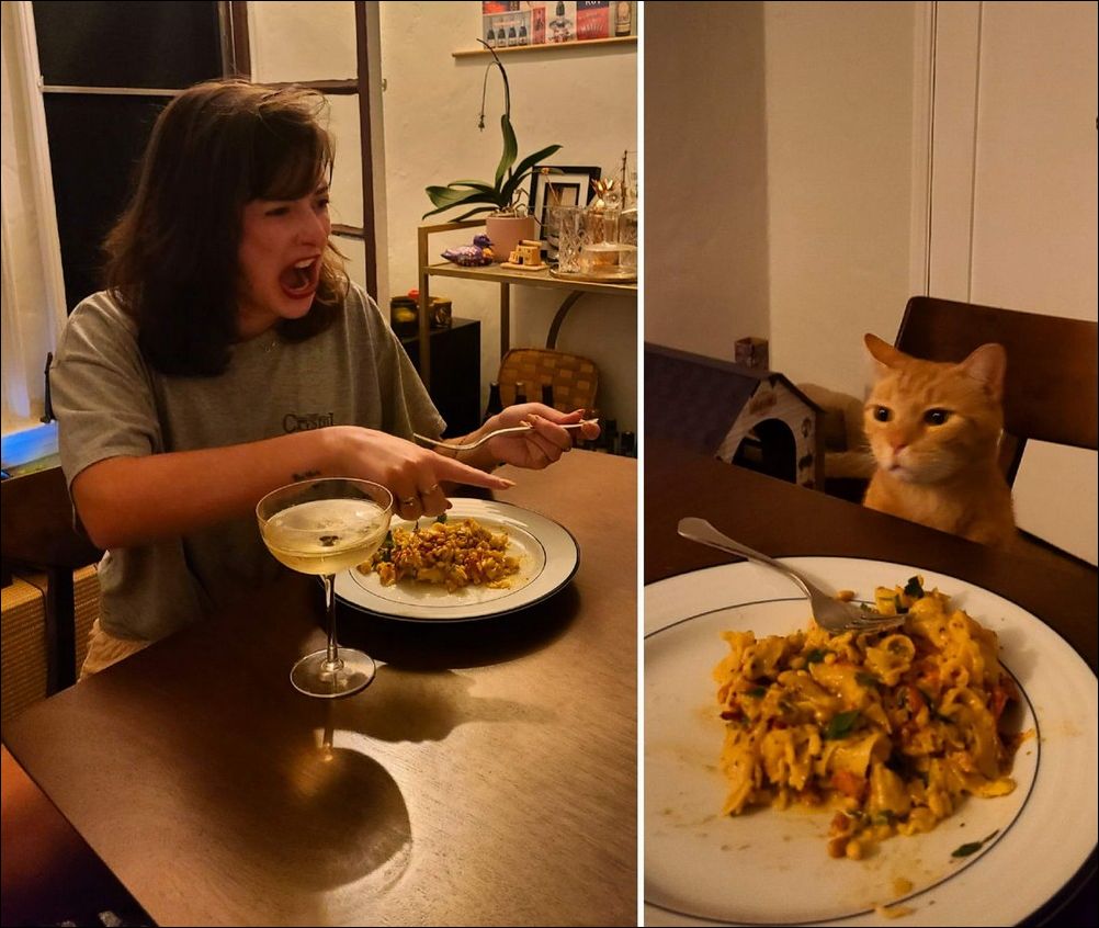 фотоприколы