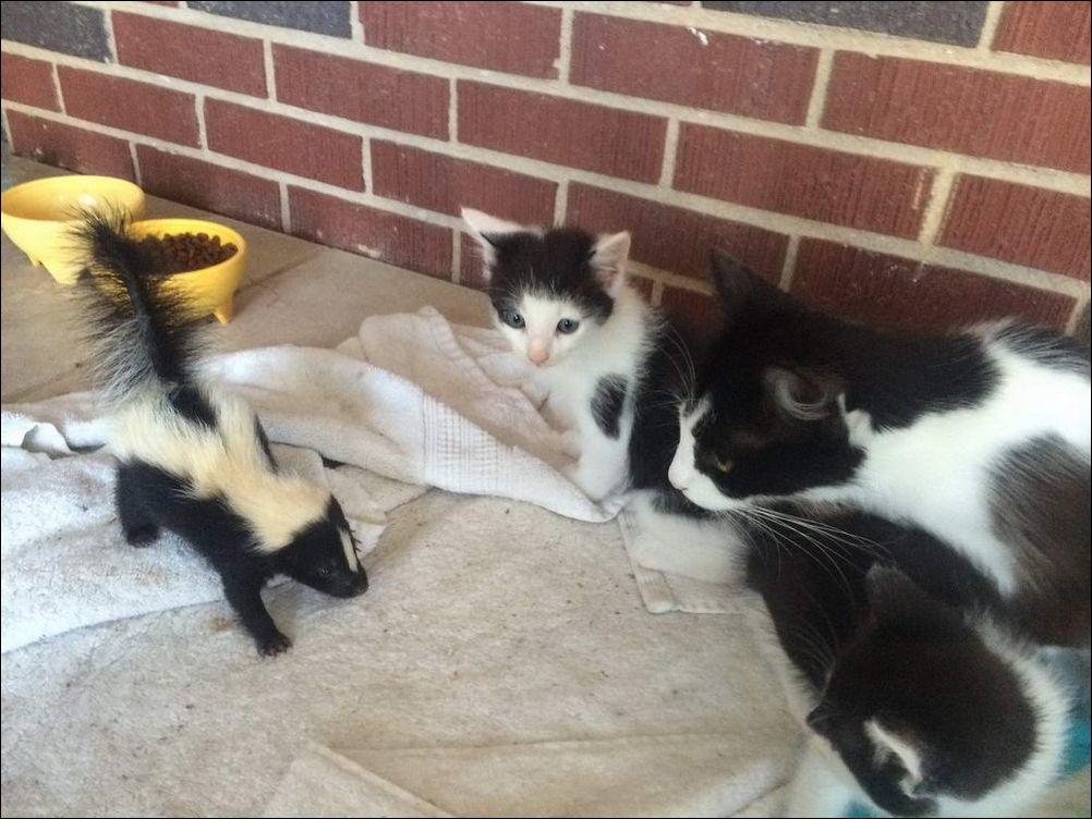 фотоприколы