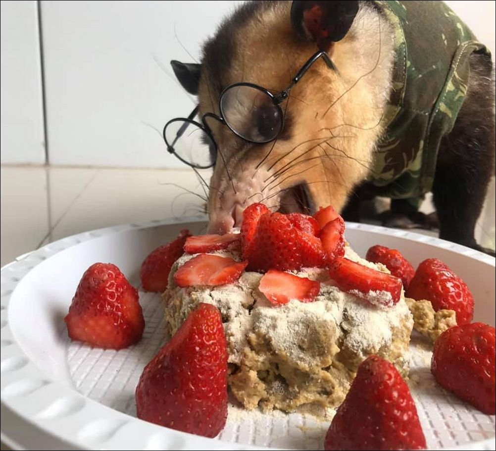 фотоприколы