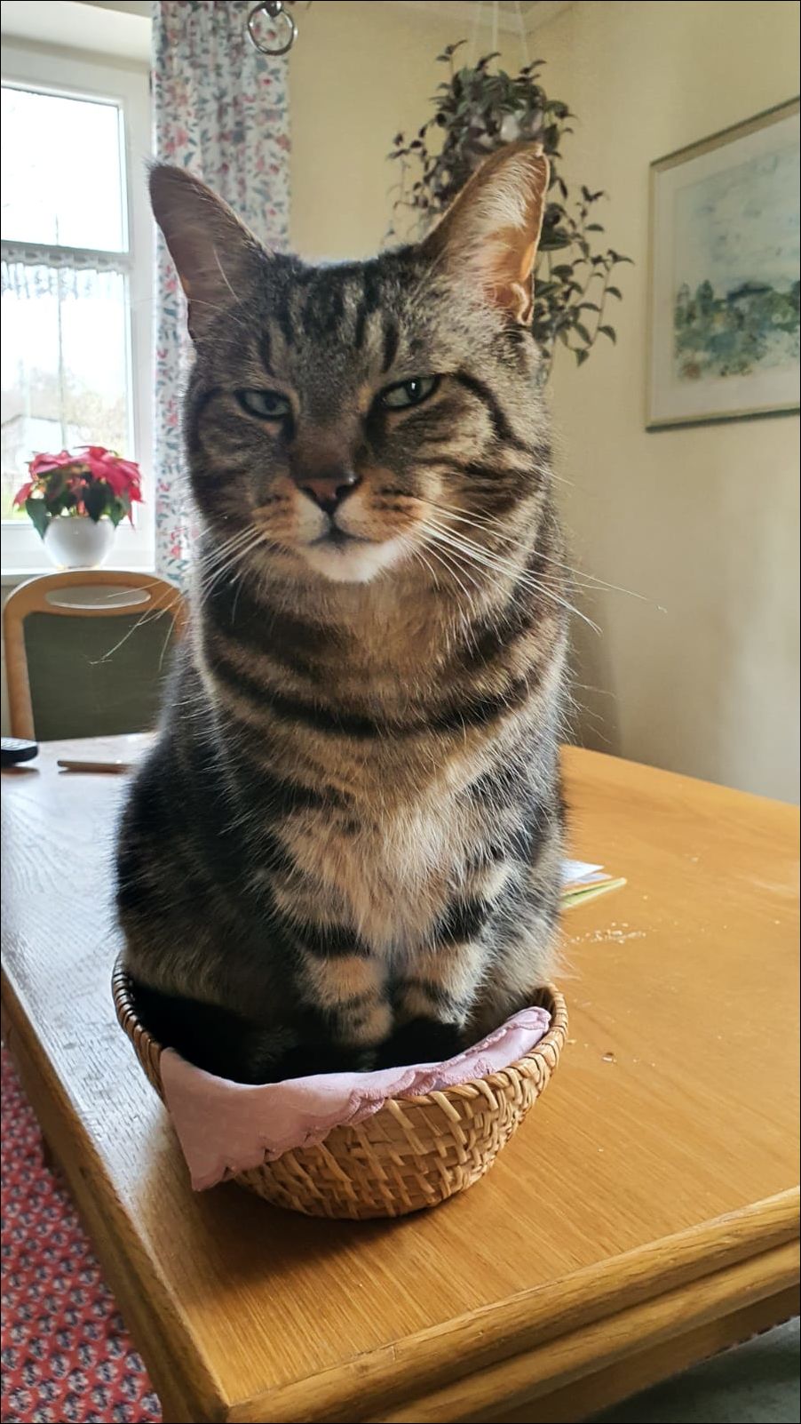 фотоприколы