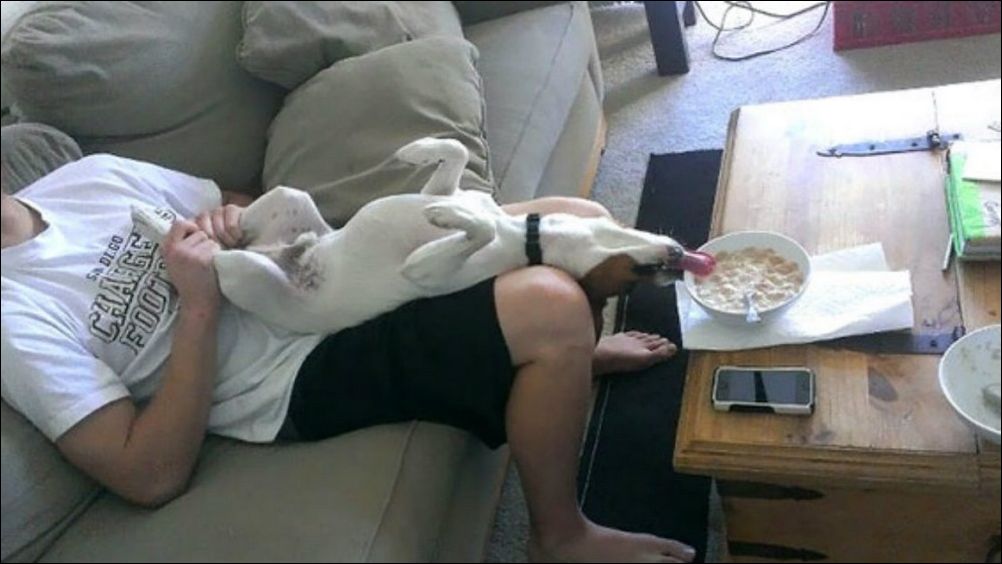 фотоприколы