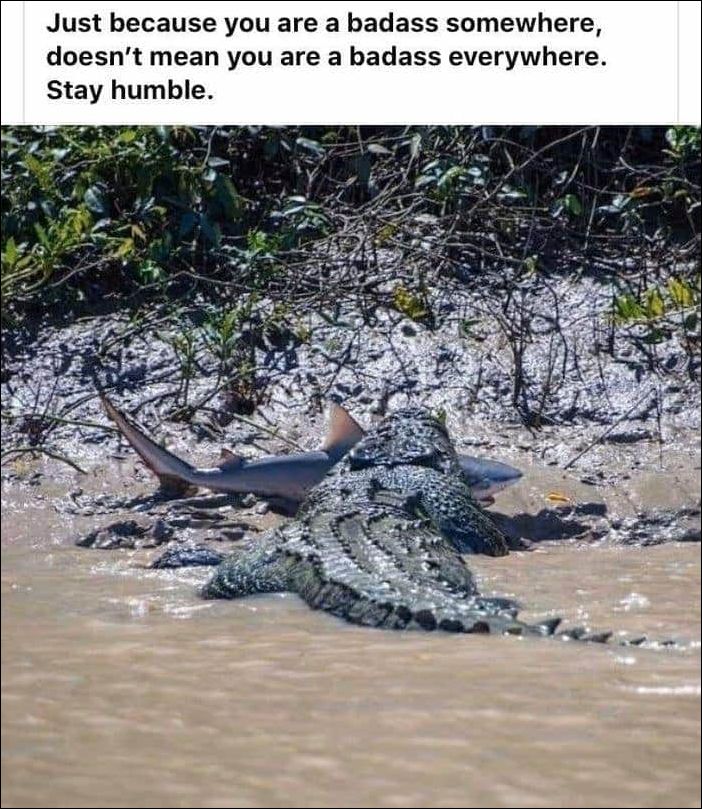 фотоприколы