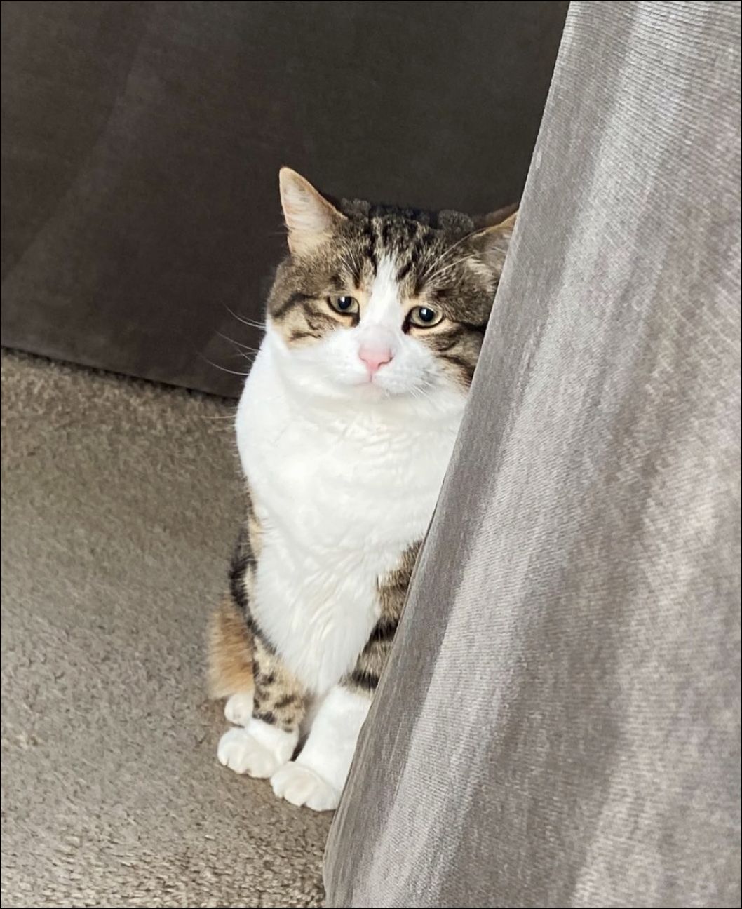 фотоприколы