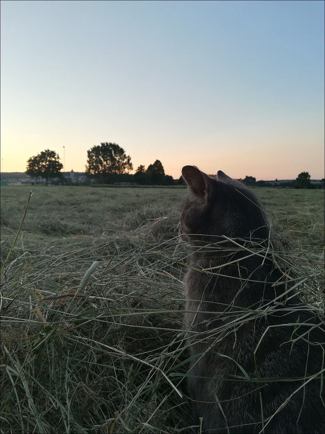 фотоприколы