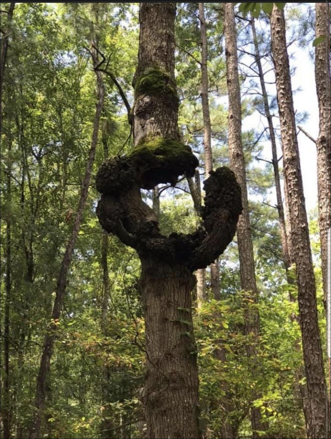 фотоприколы