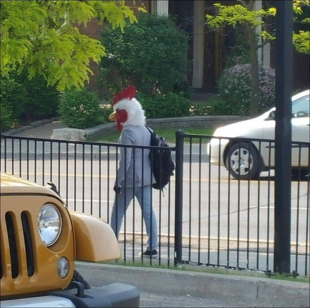 фотоприколы