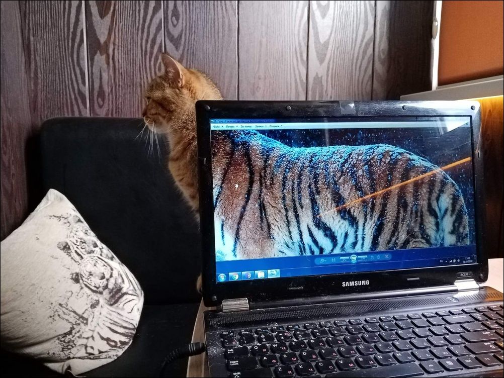 фотоприколы