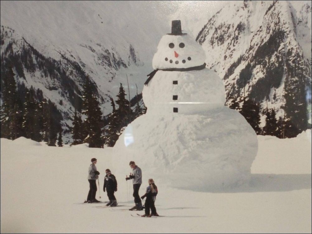 фотоприколы