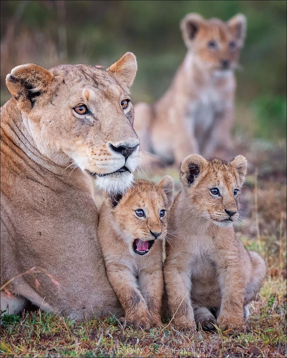 фотоприколы