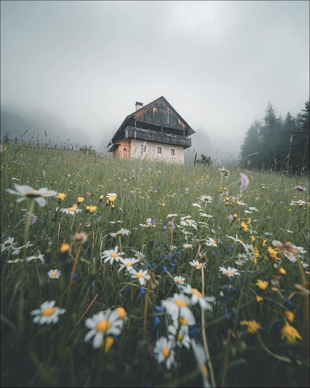 фотоприколы