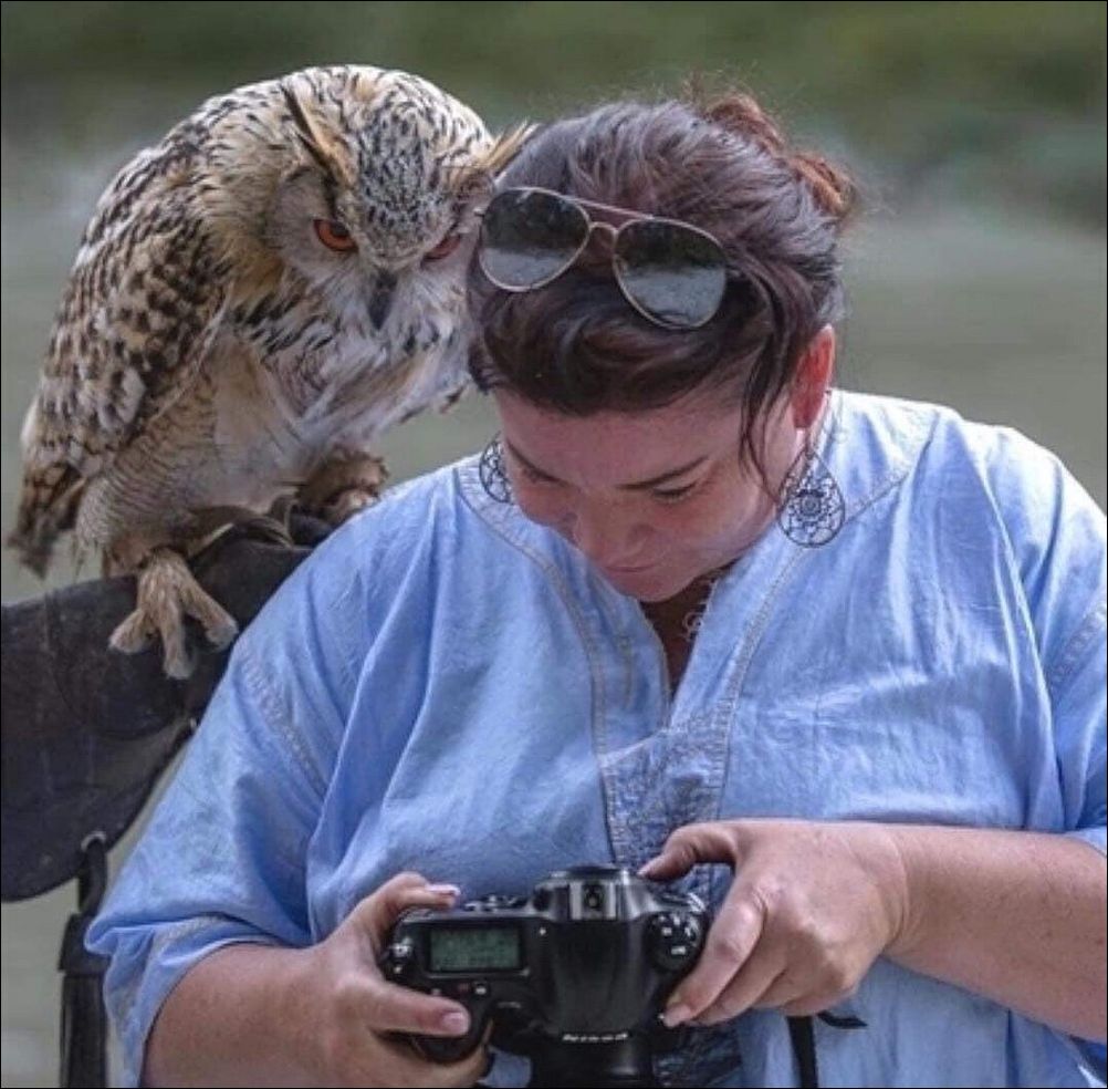 фотоприколы