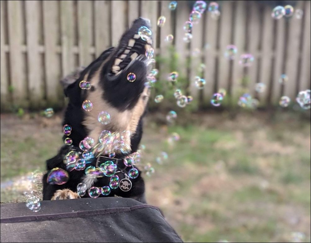 фотоприколы