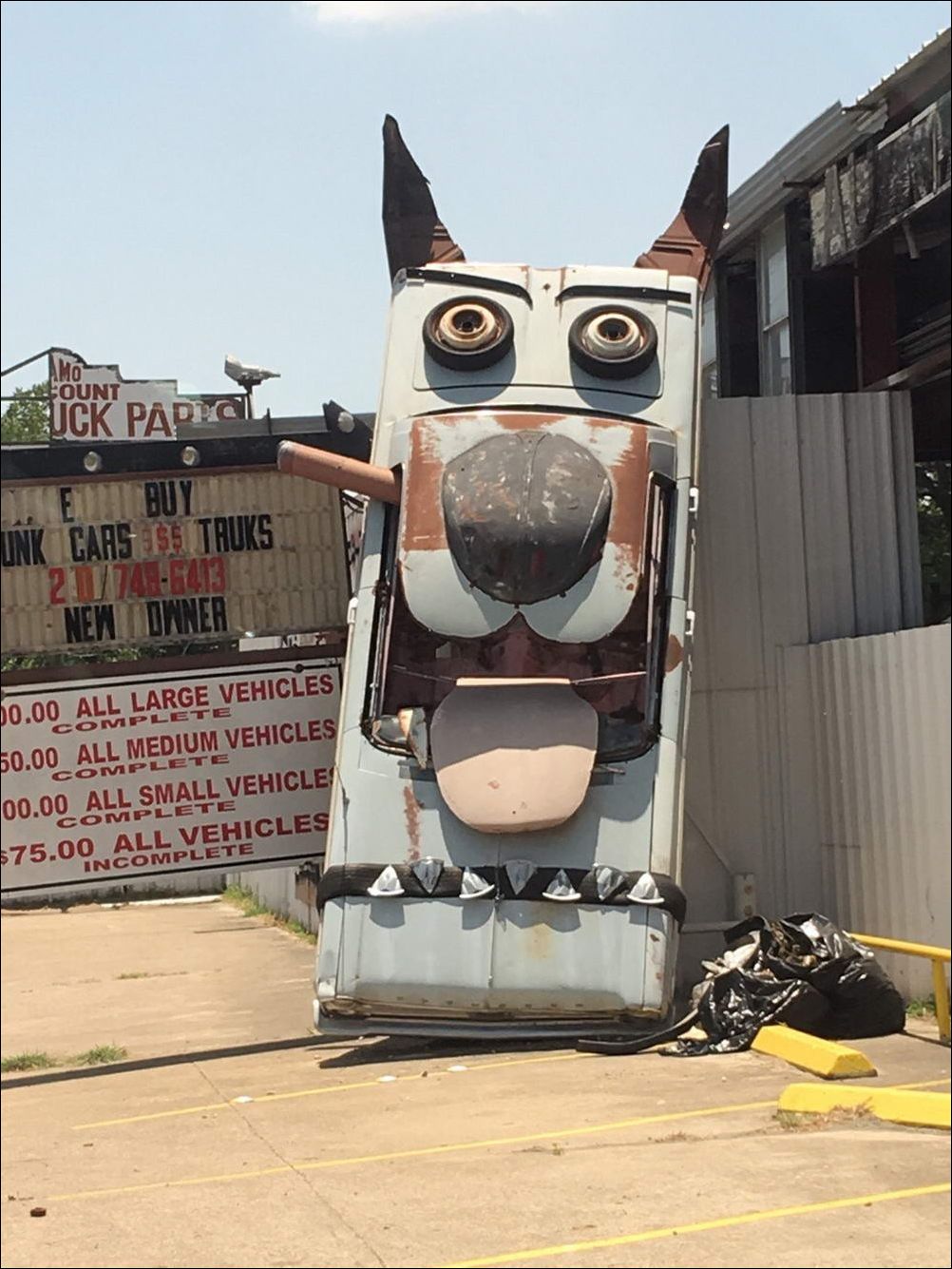 фотоприколы