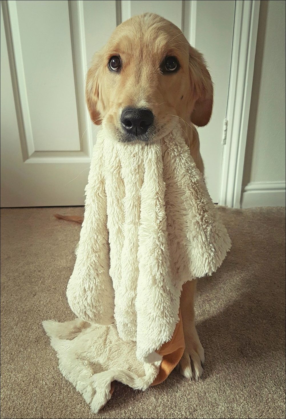 фотоприколы