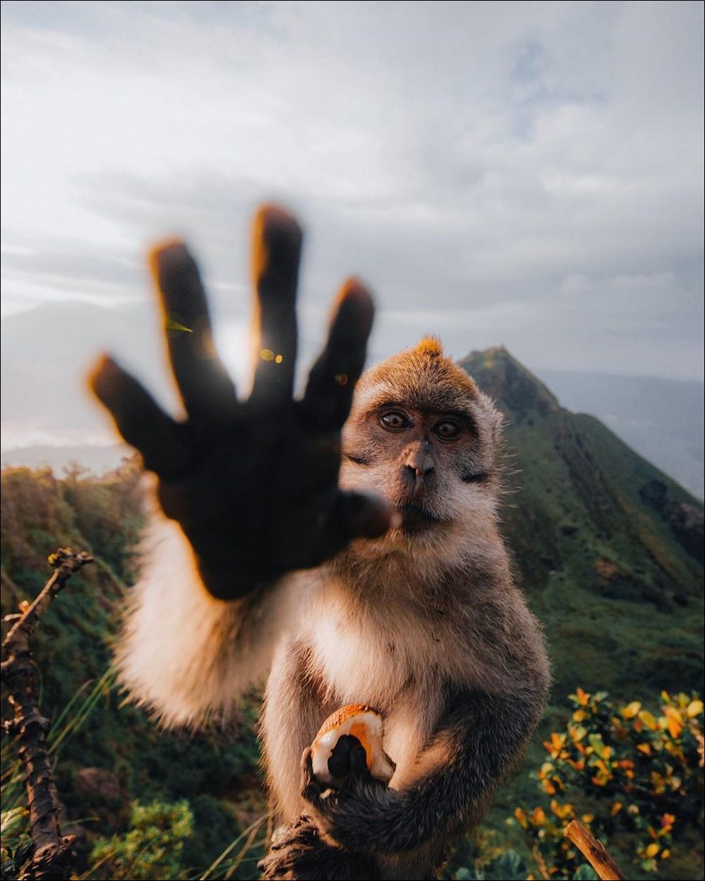 фотоприколы