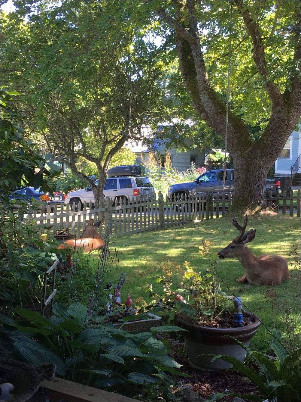 фотоприколы