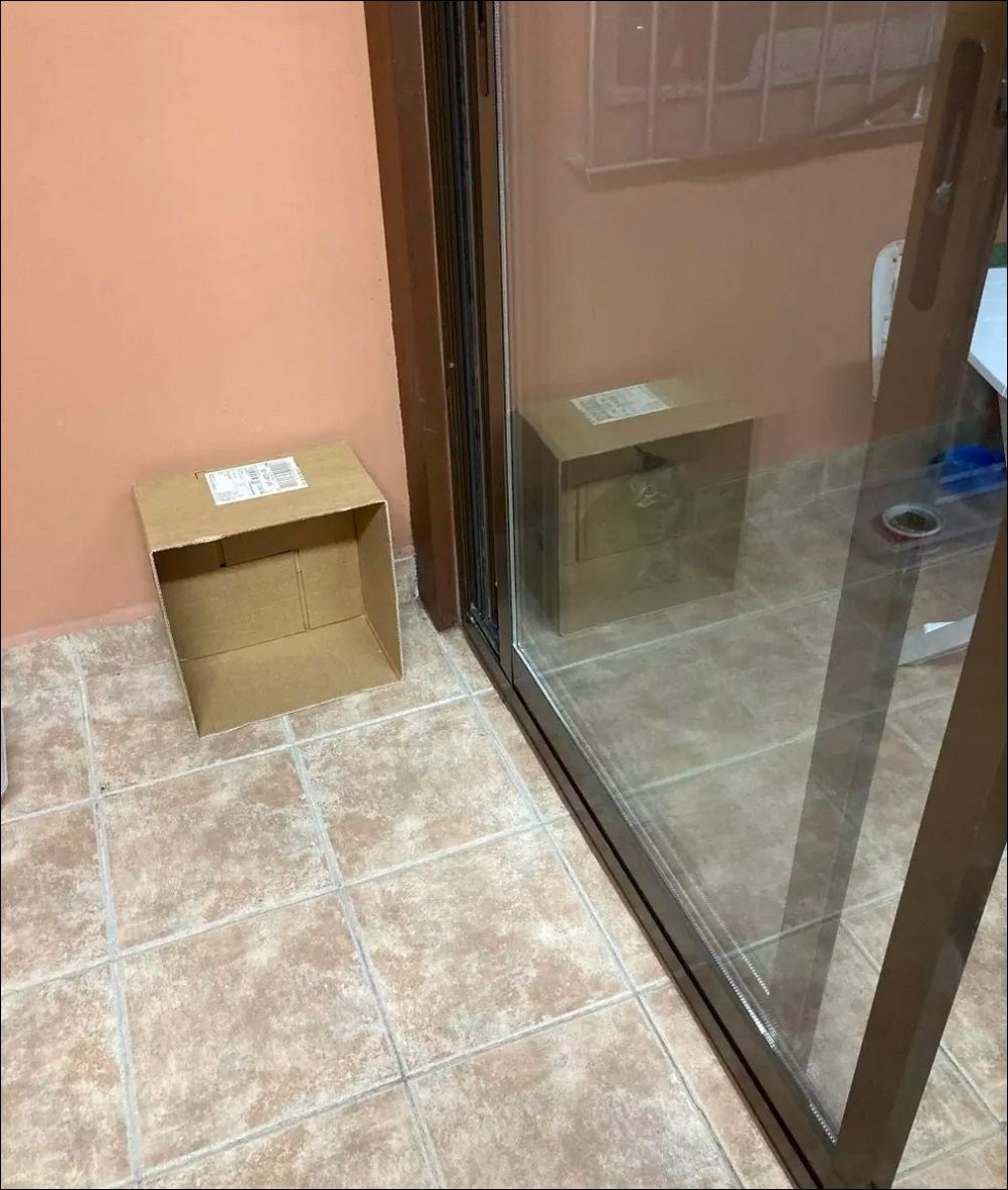 фотоприколы