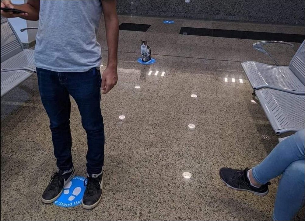 фотоприколы