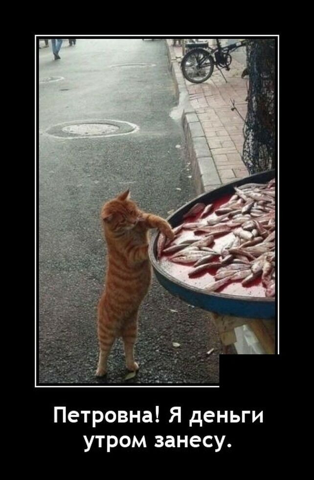 демотиватор