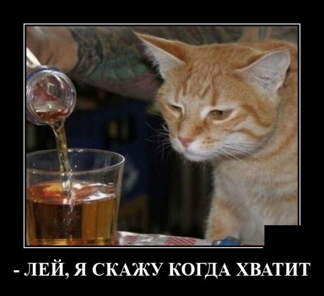 демотиватор