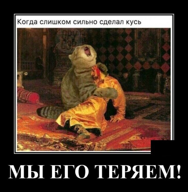 демотиватор