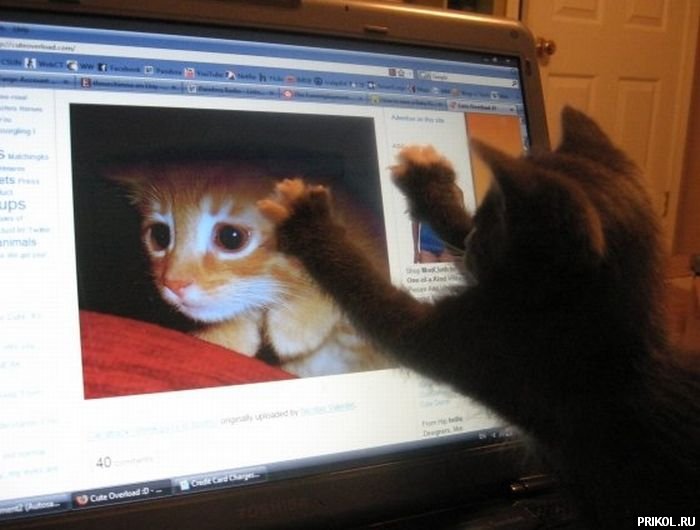 fotoprikol-181209-23