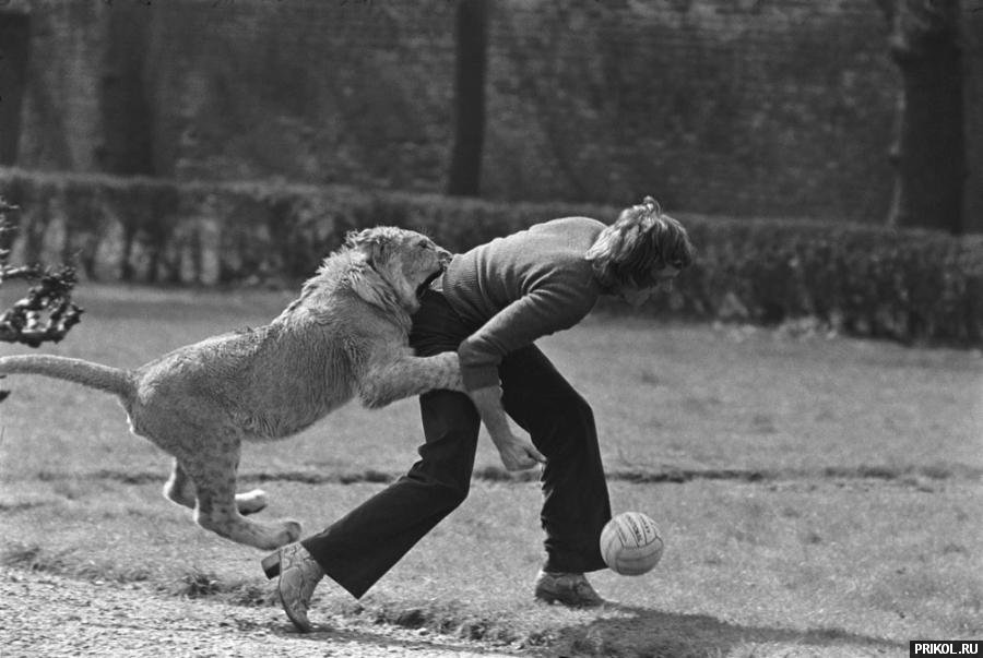 fotoprikol-181209-54