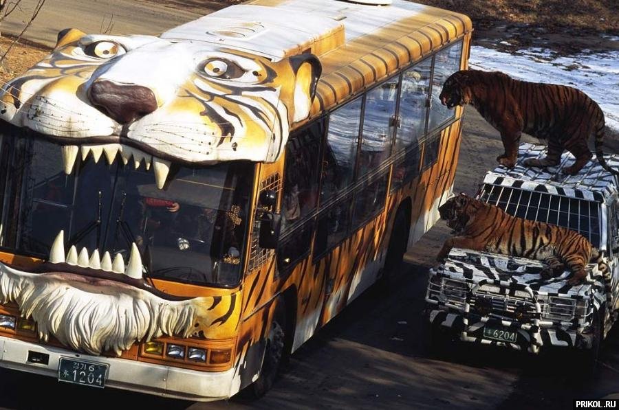 fotoprikol-181209-56