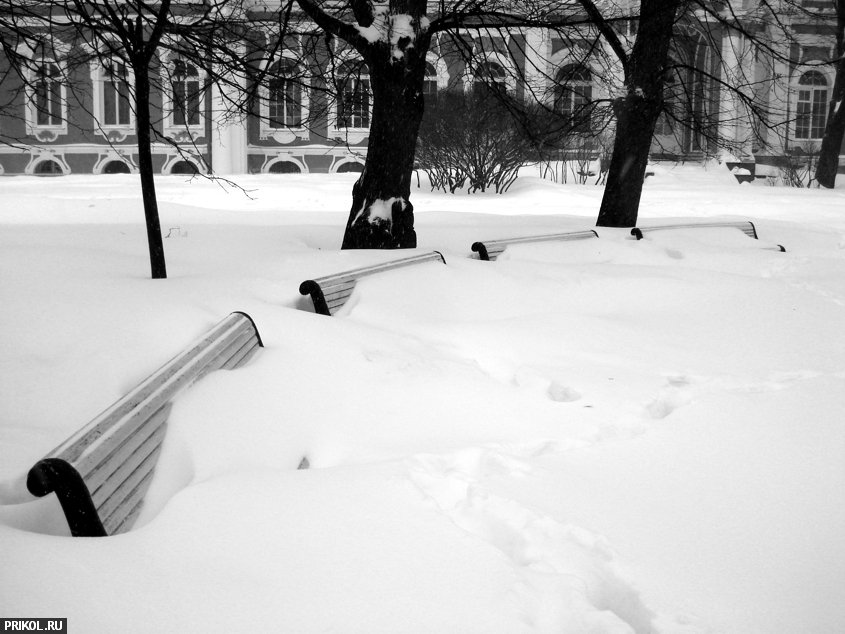 sankt-peterburg-in-snow-09