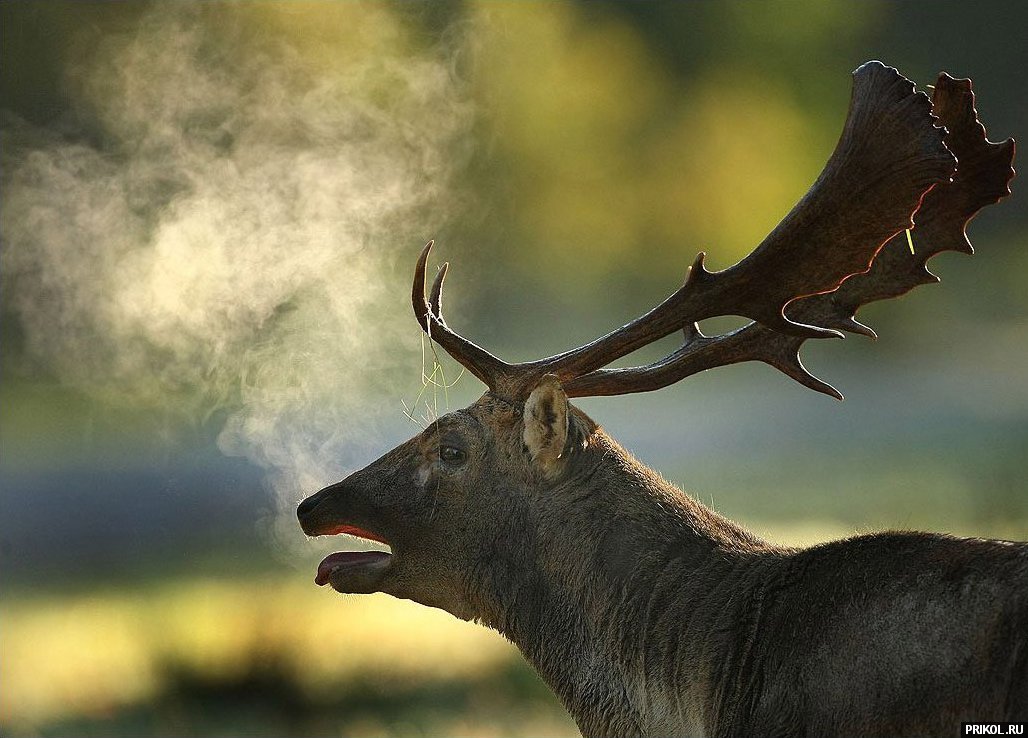 top-weather-photos-07