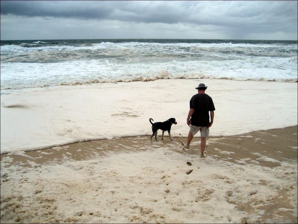 Меня б ты вынес океан. Человек вечером в Австралии на пляже. Нюхает пену на пляже.