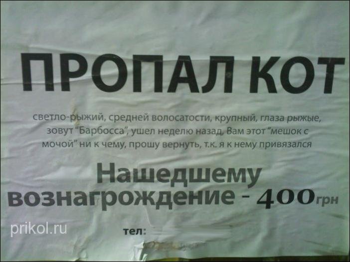 Фото Объявление О Пропаже