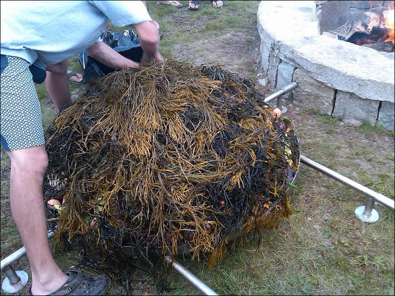 Пикник по-крупному