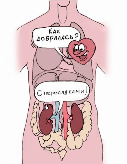 Комиксы и карикатуры