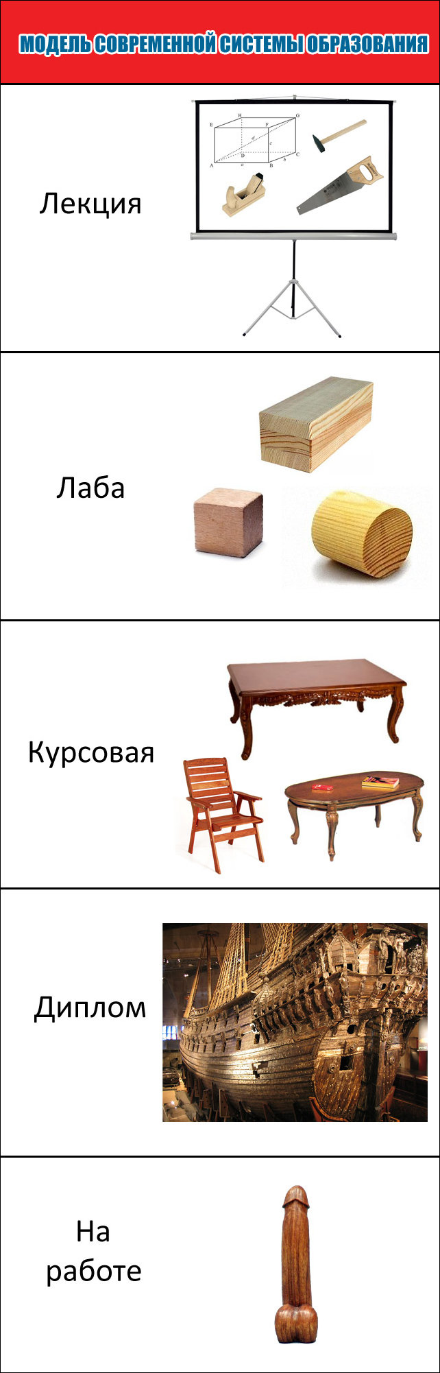 Образование