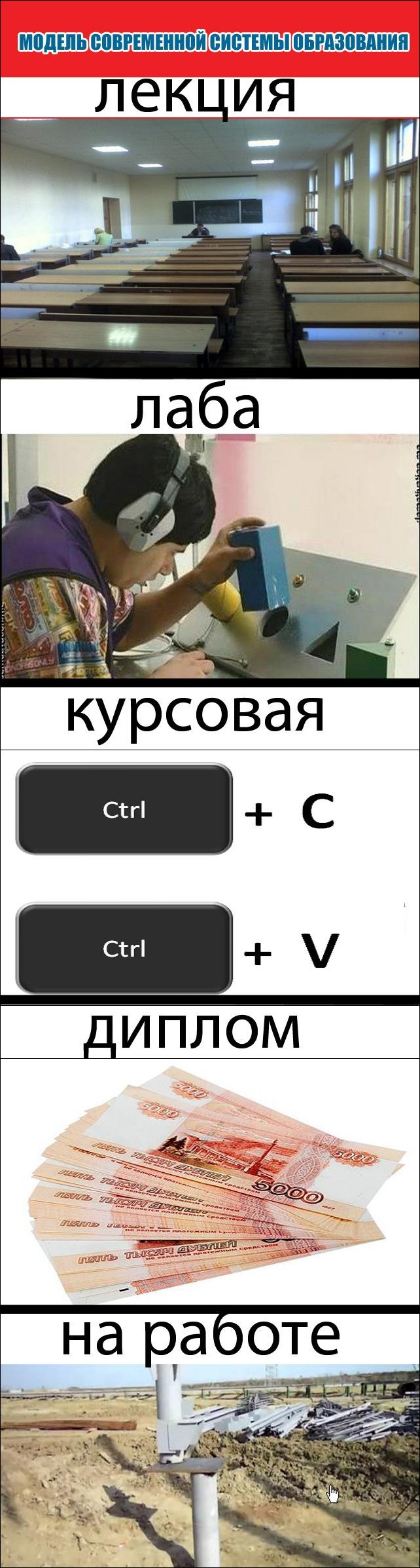 Образование