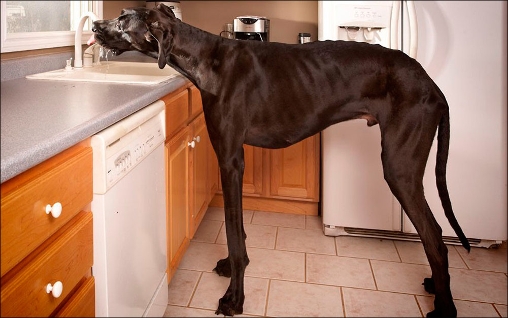 Подборка фотографий