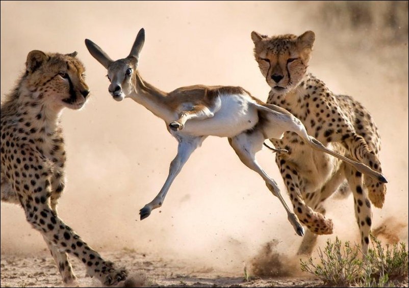 Подборка фотографий