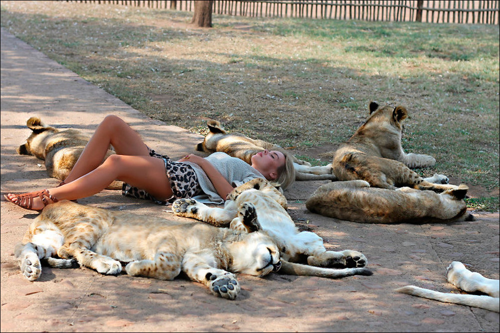 Подборка фотографий
