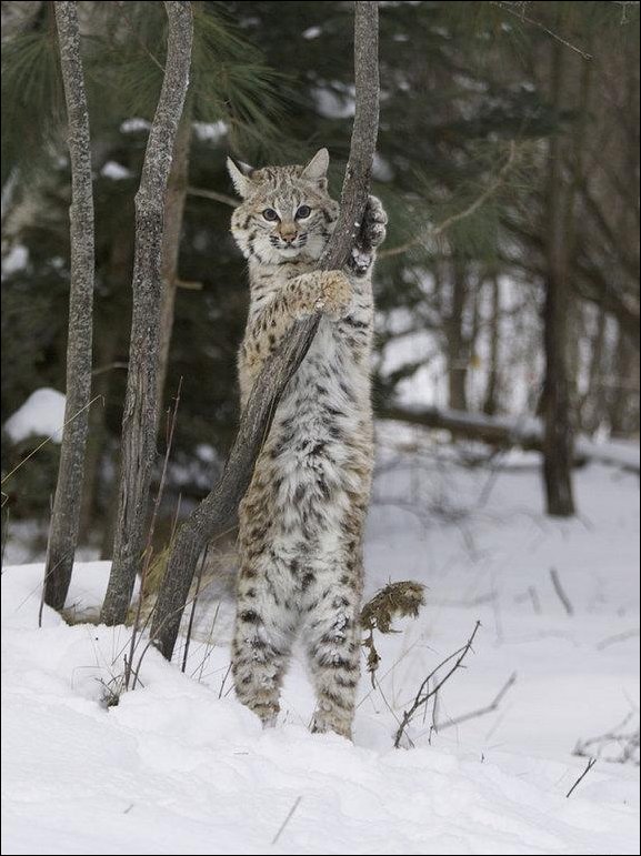 Подборка фотографий