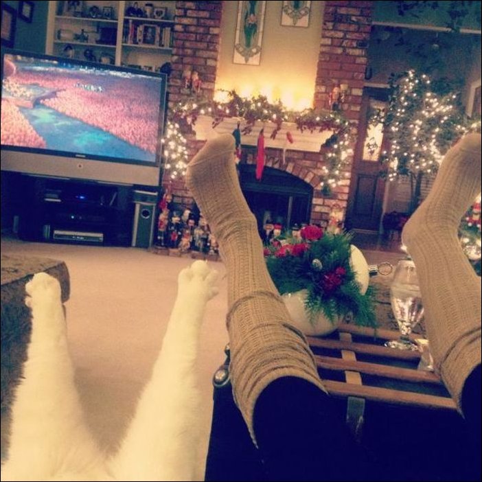 Подборка фотографий