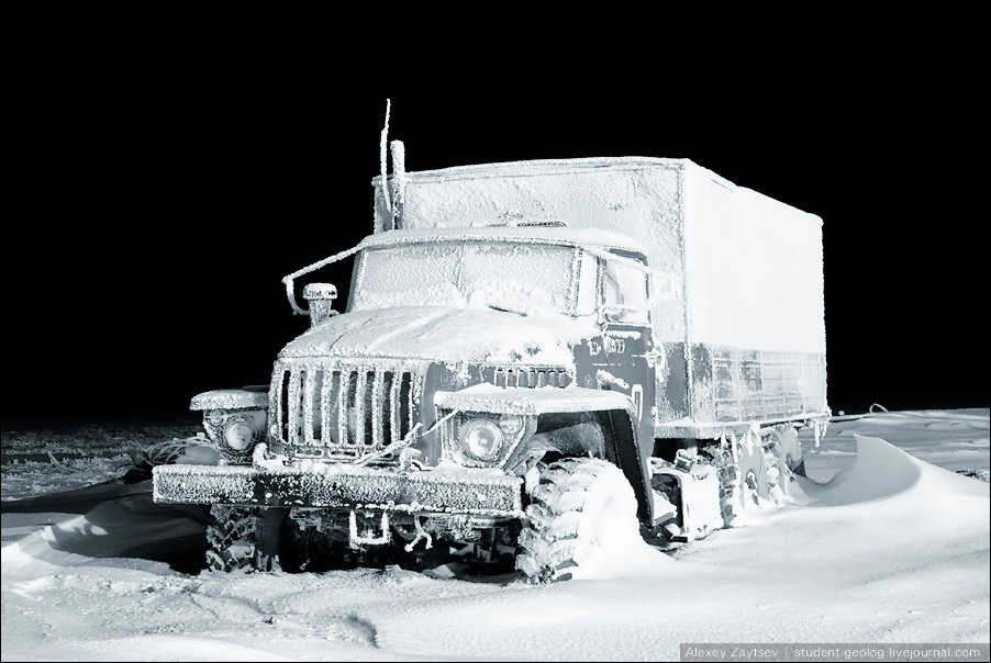 Подборка фотографий