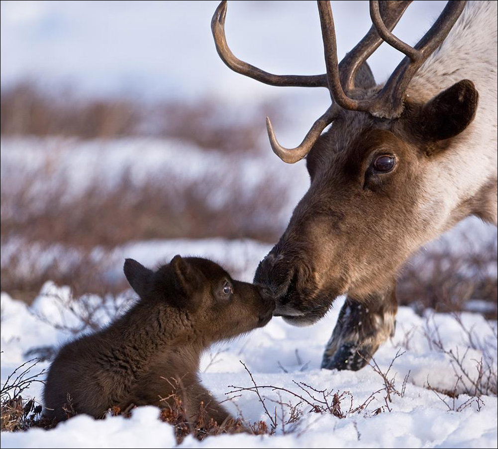 Подборка фотографий