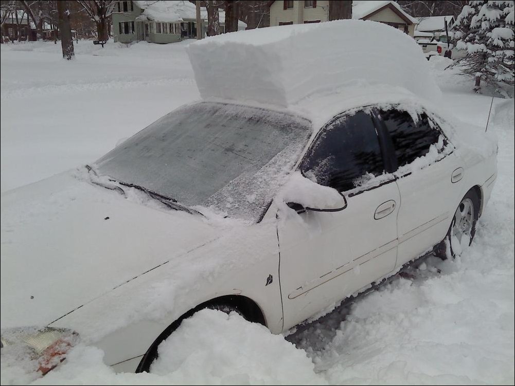 Подборка фотографий